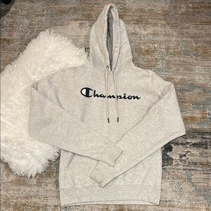 Champion Gray Pullover Hoodie Sweatshirt